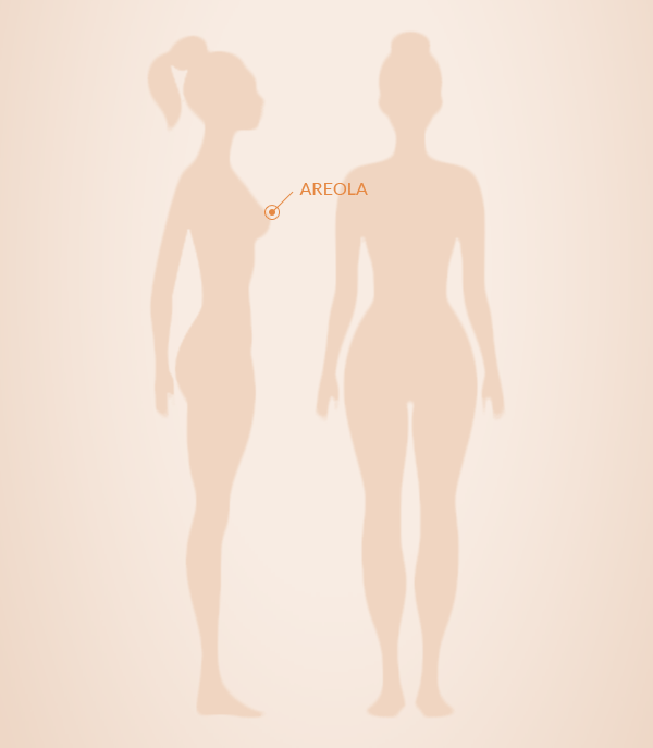 areola